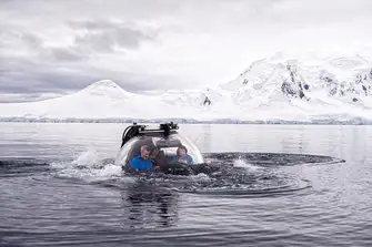 Explore the underwater wildlife