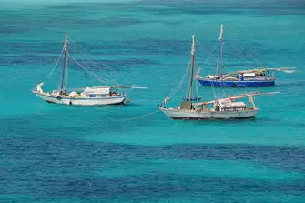 Deep sea fishermen typically populate the waters of the Abaco sea. You might get the chance to see them at work