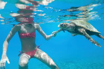 You may be lucky enough to meet some of the locals