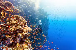 La mer Rouge