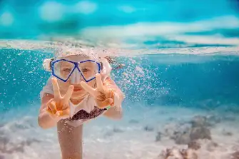Get to know the marine kingdom and understand why we must work to protect it
