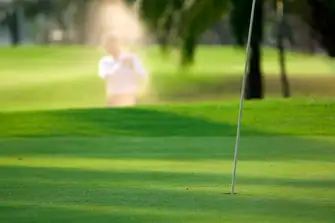 There are plenty of attractions in Palm Harbor, including the golf