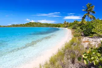 Explore ashore where there are adventures galore