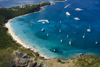 Snorkel with turtle, reef sharks an eagle rays in Anse Colombier