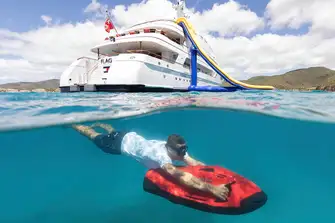 SeaBob