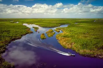 The Everglades National Park is home to some unique flora and fauna