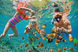 Escape winter in warm crystal-clear waters