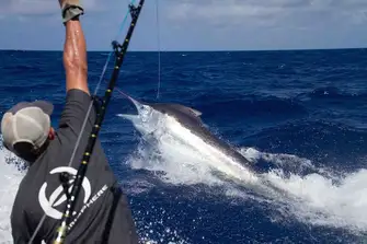 The sport fishing is amazing