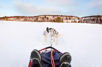 Or you could go old school and fire up the huskies for a sled tour