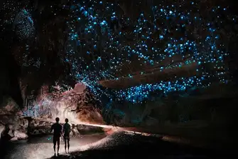 There are magical natural scenes everywhere, like these glow worms illuminating Waipu Caves, just inland from the northern end of the Bay of Islands