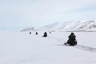 Find the local wildlife with a guided snowmobile tour
