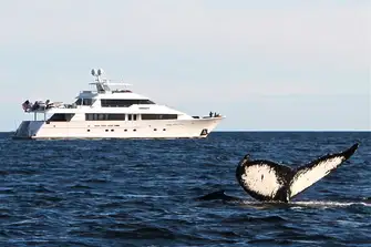 39.6m (130ft), 12 guests in 5 cabins, rates from USD 130,000 per week