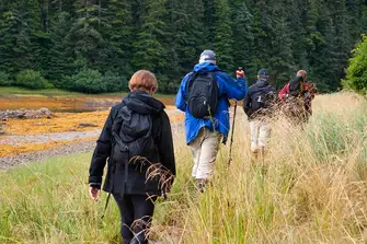Your guide can organise a trek across Chichagof Island near Juneau, Alaska, so see coastal brown bears