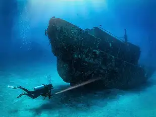As well as corals, whale sharks, manta rays and all sorts of sharks, there are atmospheric wrecks