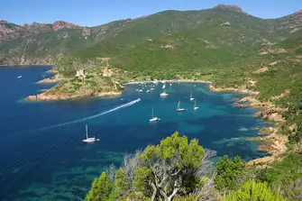 Girolata Creek